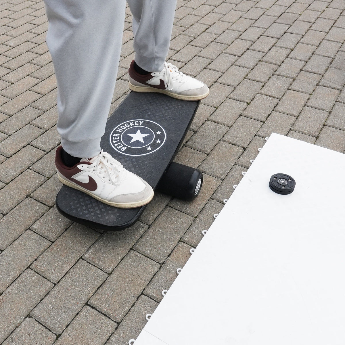 Extreme Hockey Balance Board